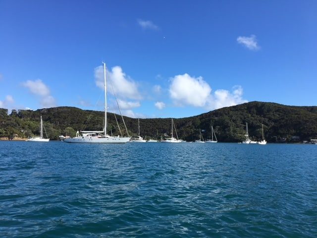 kawau island