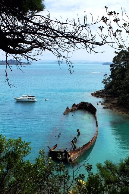 rewa wreck