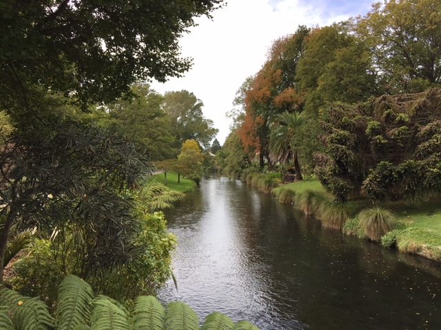 christchurch-obr-merino